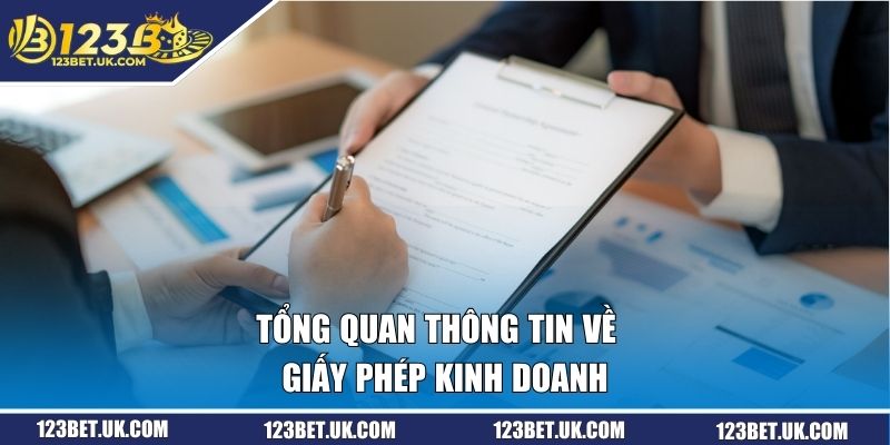 Tổng quan thông tin về giấy phép kinh doanh 