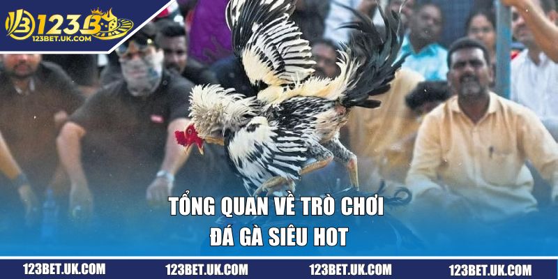 Tổng quan về trò chơi đá gà siêu hot