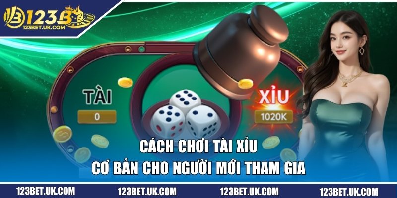 Cách chơi tài xỉu cơ bản cho người mới tham gia 