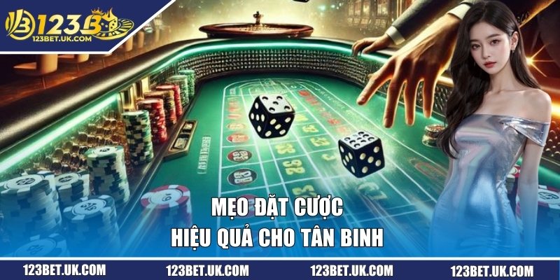 Mẹo đặt cược hiệu quả cho newbie 