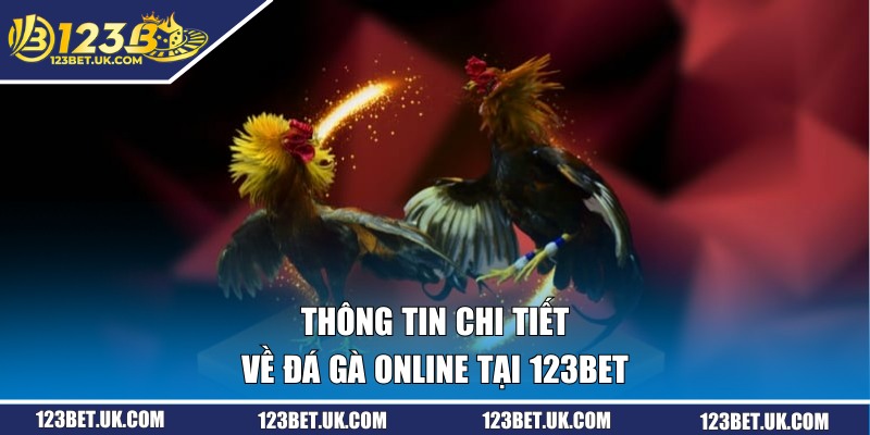 Thông tin chi tiết về đá gà online tại 123BET